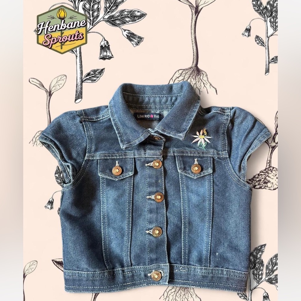 Limited Too Embroidered Blue Jean Top
